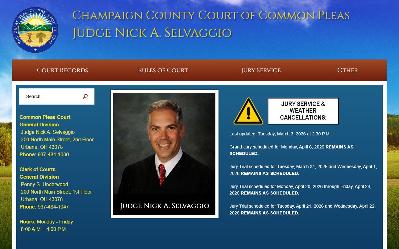 Champaign County Common Pleas Court criminal records search portal