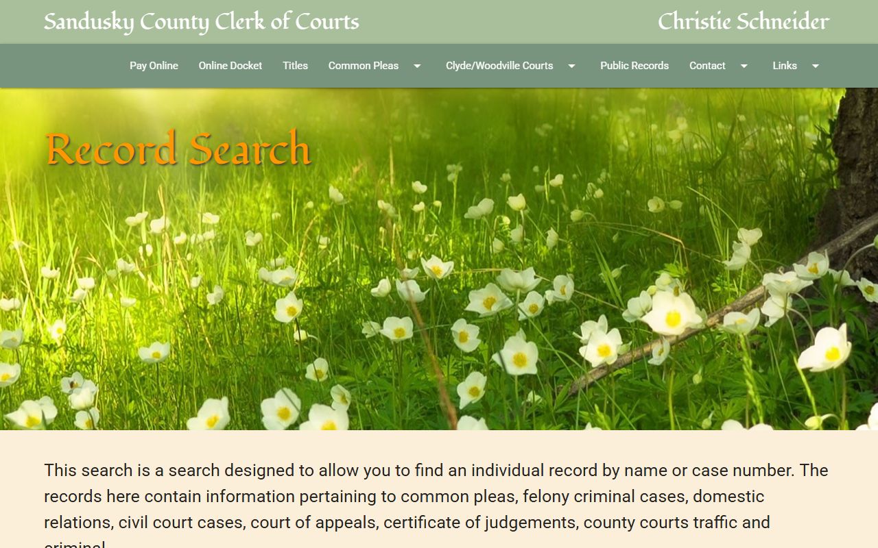 Sandusky County criminal records court search portal